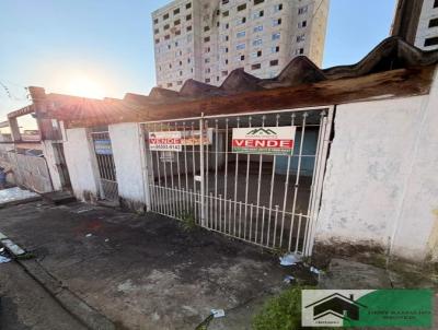 Terreno para Venda, em S�o Paulo, bairro Vila Raquel